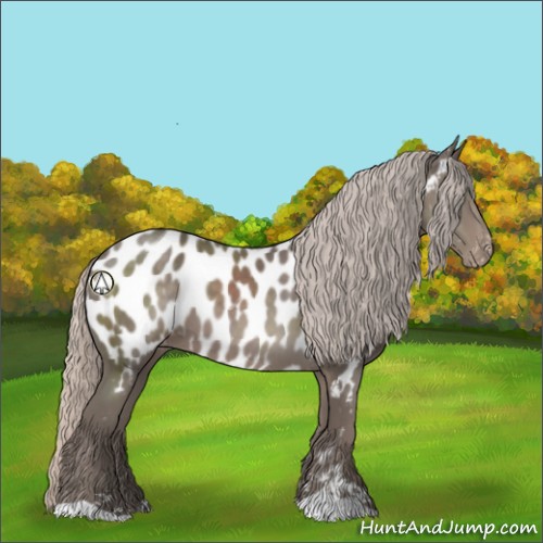 Horse Color:Silver Black Sabino Near Leopard 