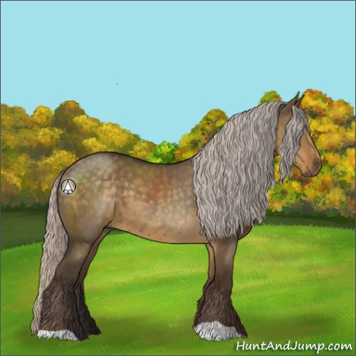 Horse Color:Silver Smoky Grullo 