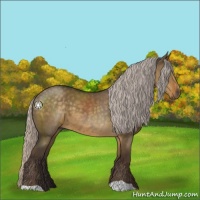 Horse Color:Silver Smoky Grullo 
