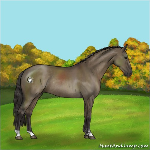 Horse Color:Smoky Grullo Sabino Rabicano 