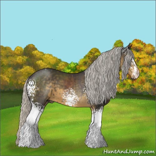 Horse Color:White Spotted Silver Smoky Black 