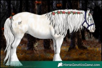 Horse Color:Silver Sable Cream Champagne Pearl Dun Splash Appaloosa