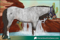Horse Color:Liver Red Roan Tobiano 