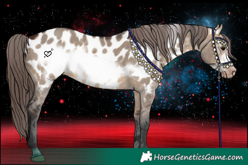 Horse Color:Brown Dun Frame Appaloosa