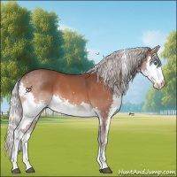 Horse Color:Silver Brown Splash Tobiano 