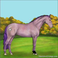 Horse Color:Watercolor Classic Champagne 