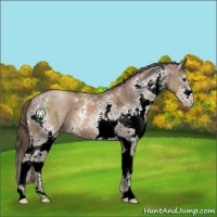 Horse Color:White Spotted Black Ice Pearl 