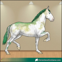 Horse Color:Watercolor White Spotted Buckskin Onyx Splash
