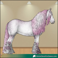 Horse Color:Gray Watercolor White Spotted Buckskin Ice 