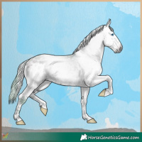 Horse Color:Gray Watercolor White Spotted Buckskin Ice Onyx Splash 