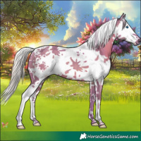 Horse Color:Watercolor Silver Black Splash Tobiano 