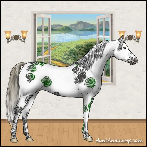Horse Color:Liver Chestnut Splash