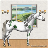 Horse Color:Liver Chestnut Splash 