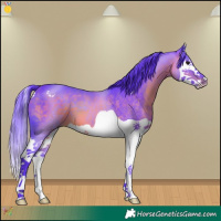 Horse Color:Watercolor Brown Splash 
