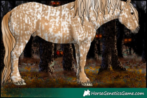 Horse Color:Gray White Spotted Black  Brindle
