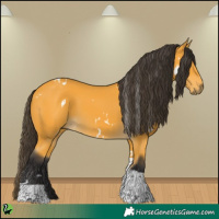 Horse Color:White Spotted Buckskin Tobiano 