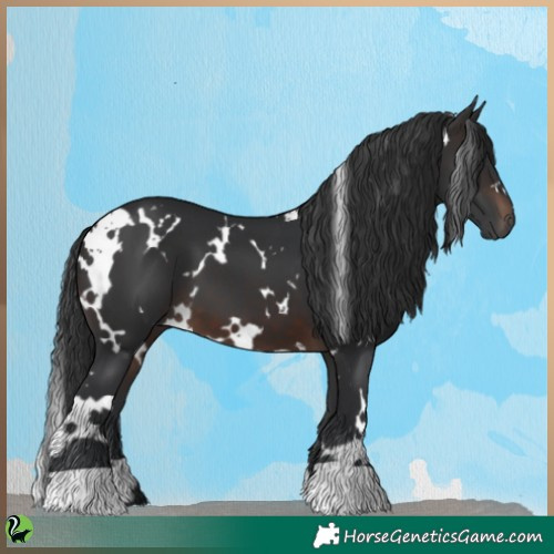 Horse Color:White Spotted Brown 