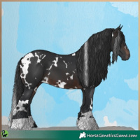 Horse Color:White Spotted Brown 