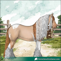Horse Color:Red Dun Tobiano 