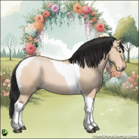 Horse Color:Bay Dun Tobiano 