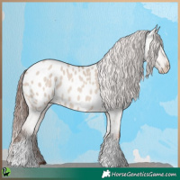 Horse Color:Classic Champagne Dun Appaloosa 