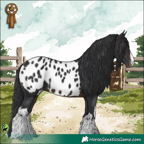 Horse Color:White Spotted Brown Blanket 