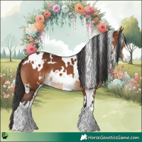 Horse Color:White Spotted Bay 