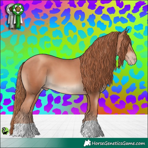 Horse Color:Gold Champagne 