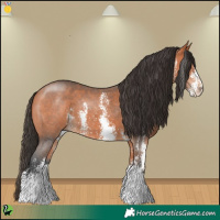 Horse Color:Bay Sabino