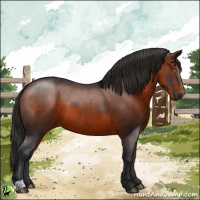 Horse Color:Brown 