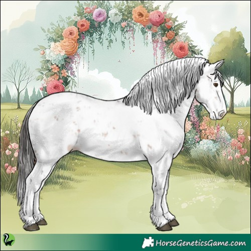 Horse Color:Bay Sabino 