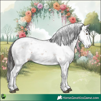 Horse Color:Bay Sabino 