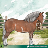 Horse Color:Silver Brown Sabino 