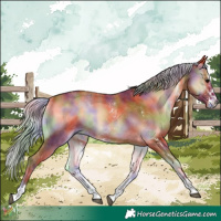 Horse Color:Nacre Silver Bay Onyx Sabino Rabicano 