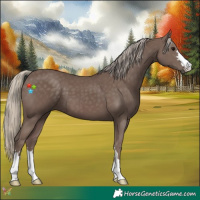 Horse Color:Chocolate Silver Smoky Black 