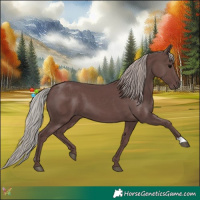 Horse Color:Chocolate Silver Black 