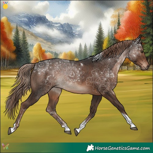 Horse Color:Liver Chestnut Tobiano 