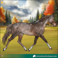 Horse Color:Liver Chestnut Tobiano 
