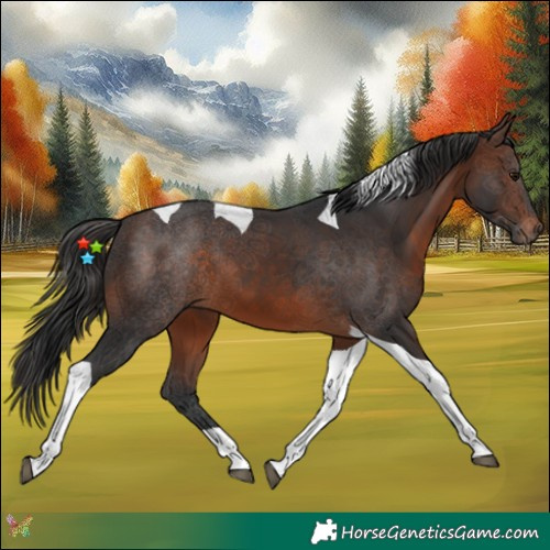 Horse Color:Brown Tobiano 