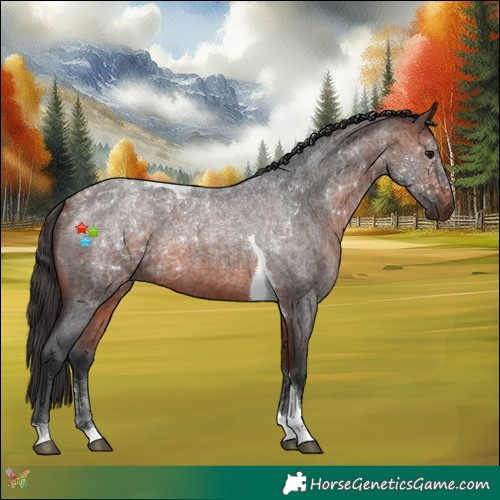 Horse Color:Bay Roan Tobiano Rabicano