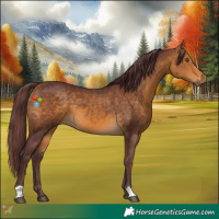 Horse Color:Chocolate Buckskin 