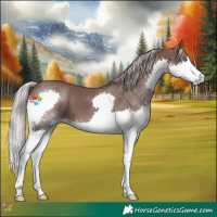 Horse Color:Chocolate Silver Black Splash 