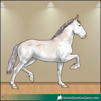 Horse Color:Watercolor Silver Amber Champagne Roan Splash 
