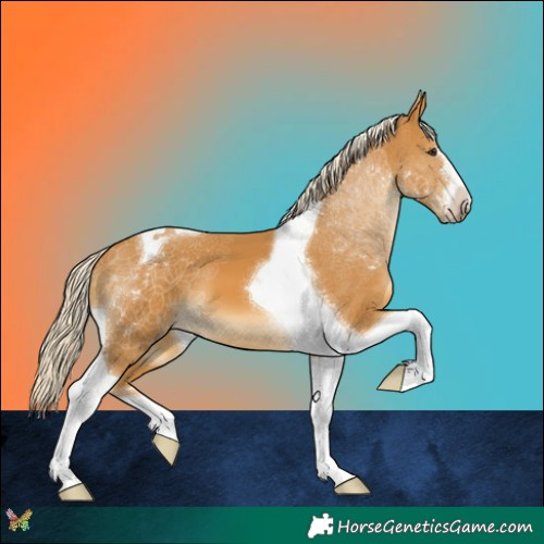 Horse Color:Palomino Tobiano 