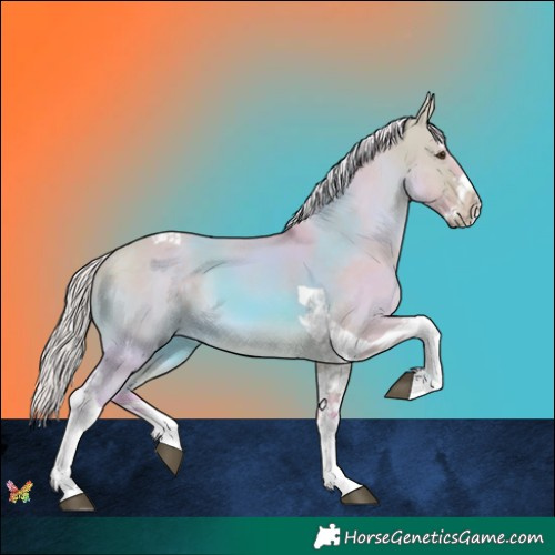 Horse Color:Watercolor Silver Buckskin Dun Splash Tobiano 