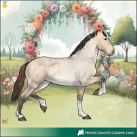 Horse Color:Buckskin Roan Tobiano 