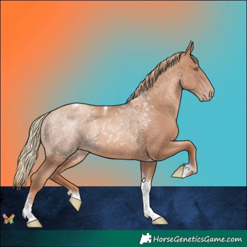 Horse Color:Gold Champagne Tobiano 