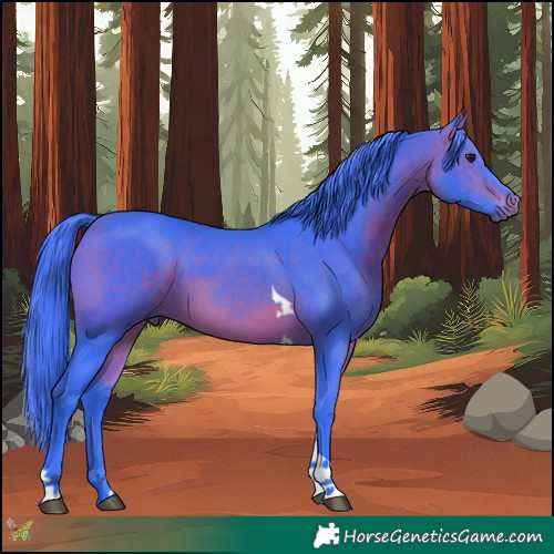 Horse Color:Watercolor Bay Tobiano 