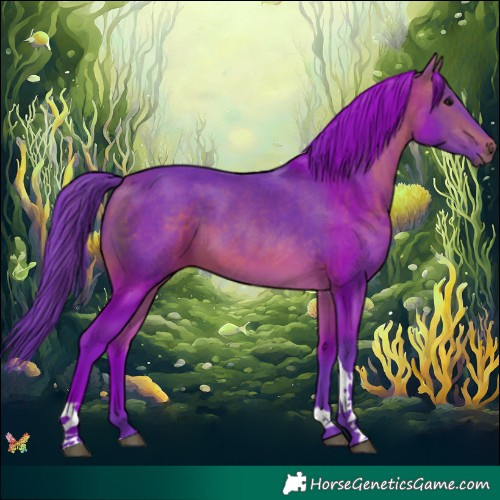 Horse Color:Watercolor Bay Tobiano 