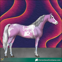 Horse Color:Watercolor Silver Buckskin Splash Tobiano 